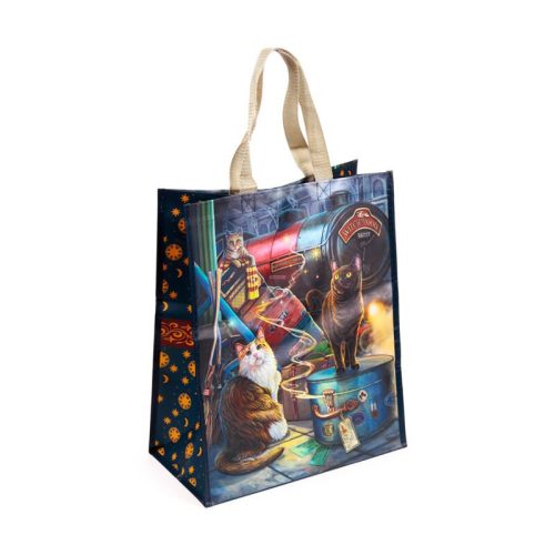  Macskák a Witchwoodi Gyorsvonatnál - Witchwood Express Cat - Lisa Parker