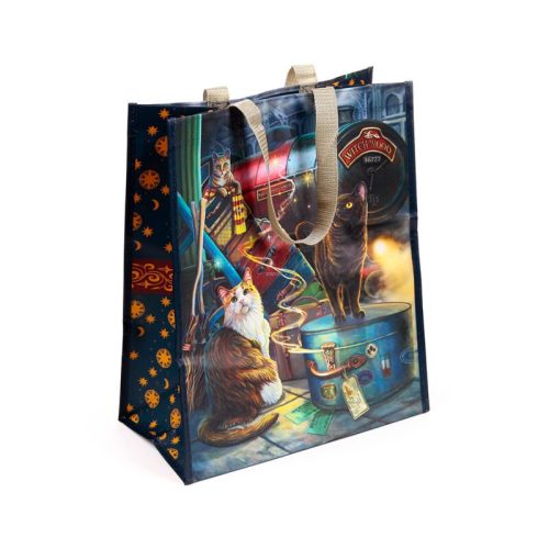  Macskák a Witchwoodi Gyorsvonatnál - Witchwood Express Cat - Lisa Parker