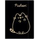Pusheen cicás gumis mappa A/7-  Pusheen Gold